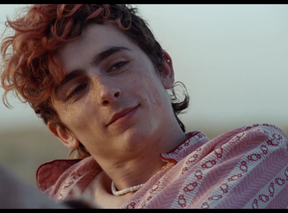 Timothée Chalamet jako zakochany kanibal w zwiastunie „Bones and All”