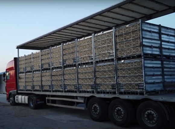 Wymogi ETS2 zagrażają polskiemu biznesowi 