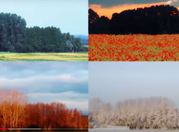 Możliwości sztucznej inteligencji w tworzeniu sztuki