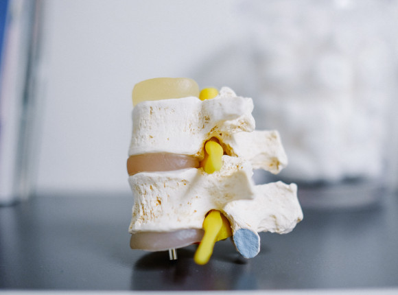 USA: przełom w terapii regeneracyjnej rdzenia kręgowego