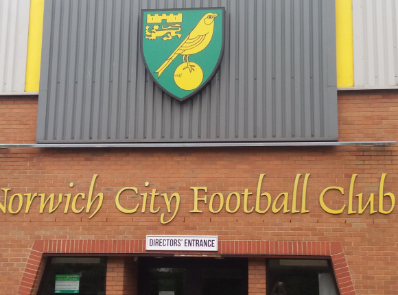 Premier League: jedenasta porażka Norwich City w tym sezonie