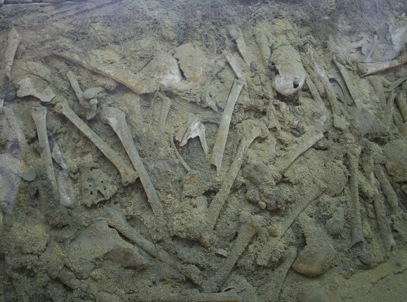 Azerbejdżan: w mieście Agdam odkryto masowy grób