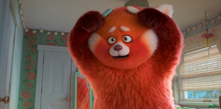 "To nie wypanda" bez premiery kinowej w USA