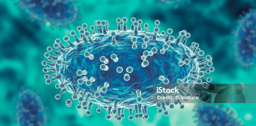 Nowy wariant “mpox”. WHO mówi o globalnym zagrożeniu dla zdrowia.