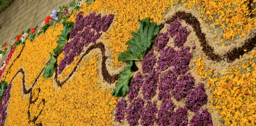 UNESCO doceniło polskie sokolnictwo i dywany kwiatowe