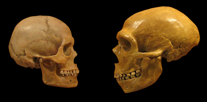 Homo sapiens pojawił się na terenie Europy 12 000 lat wcześniej niż sądzono