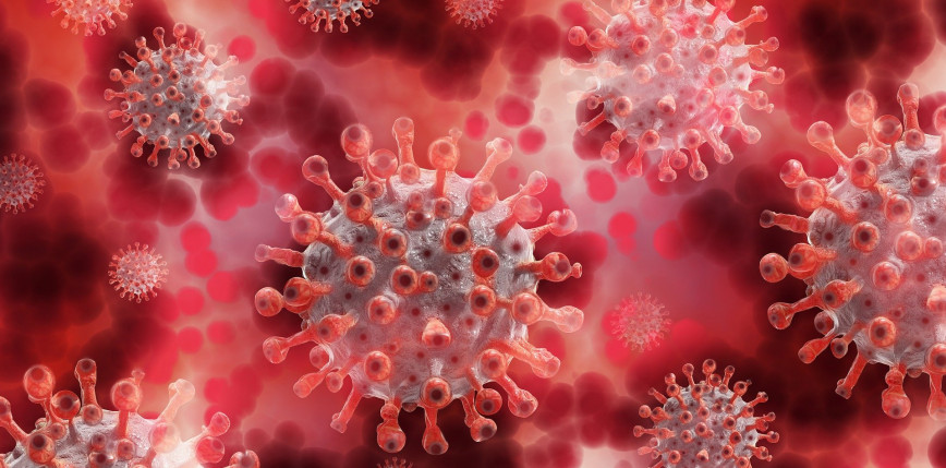 Odkryto nowy wariant wirusa SARS-CoV-2 
