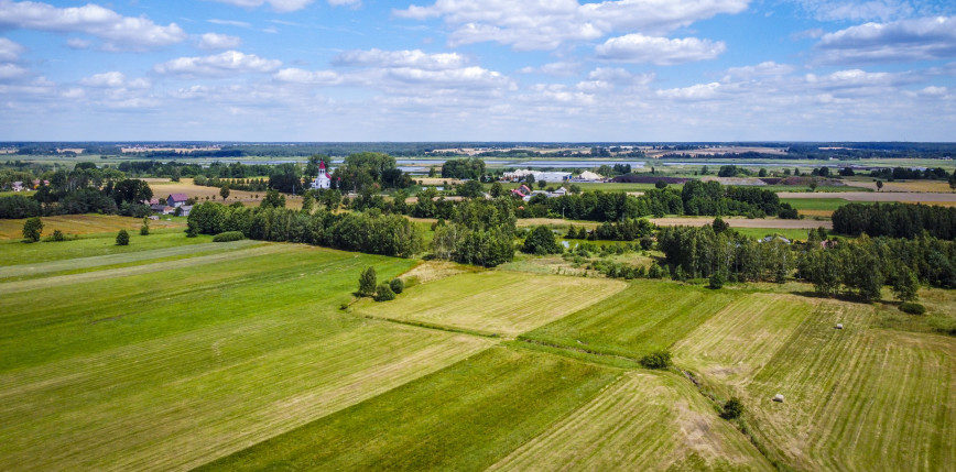 Między klimatycznymi ambicjami a gospodarczą rzeczywistością