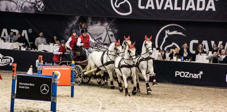 Perlage CAVALIADA Tour wraca do Poznania – wielkie jeździeckie emocje już 4–7 grudnia