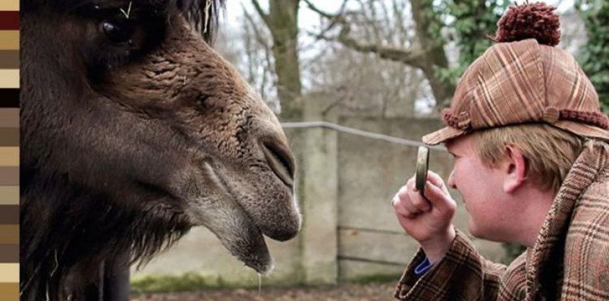 "ZOOstań Sherlockiem Holmesem", czyli śladami najsłynniejszego detektywa w łodzkim ZOO