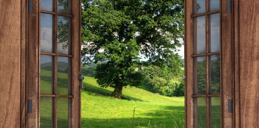 Szkło będzie można zastąpić przezroczystym drewnem?