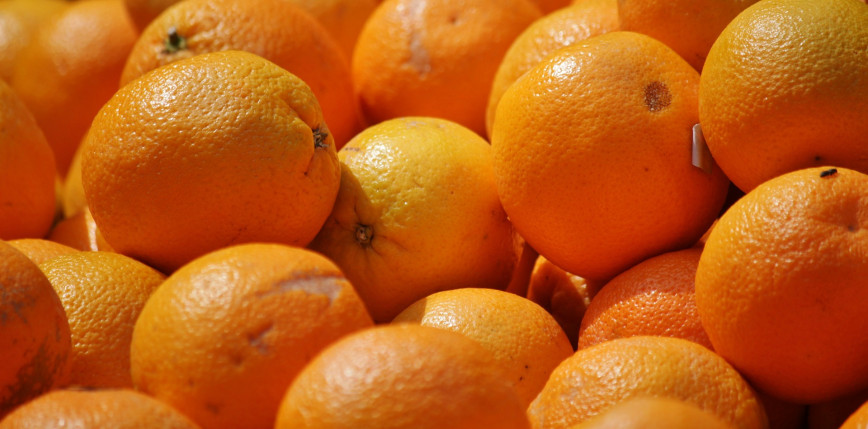 Zepsute pomarańcze mogą pomóc wykryć komórki nowotworowe