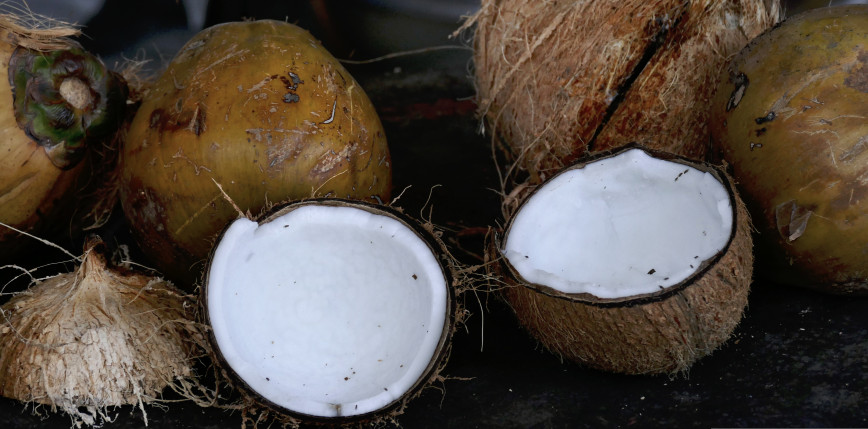 Meksyk: odkryto 300 kg fentanylu w kokosach