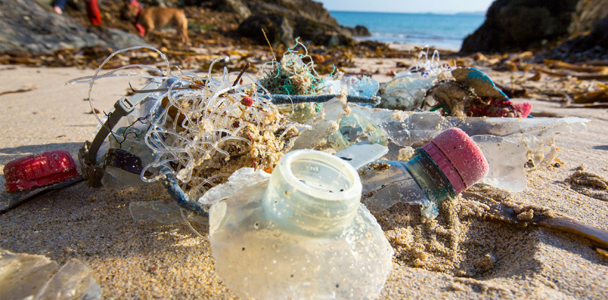 Stolica Meksyku będzie wolna od jednorazowych wyrobów z plastiku
