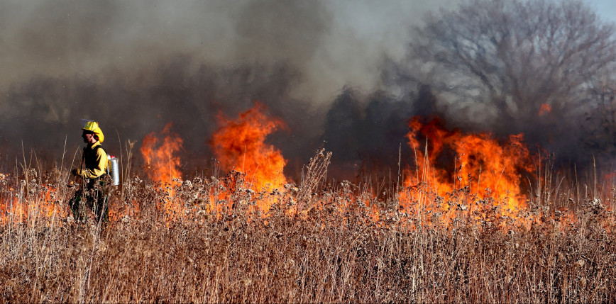 W Polsce przez weekend odnotowano 1,5 tys. pożarów traw
