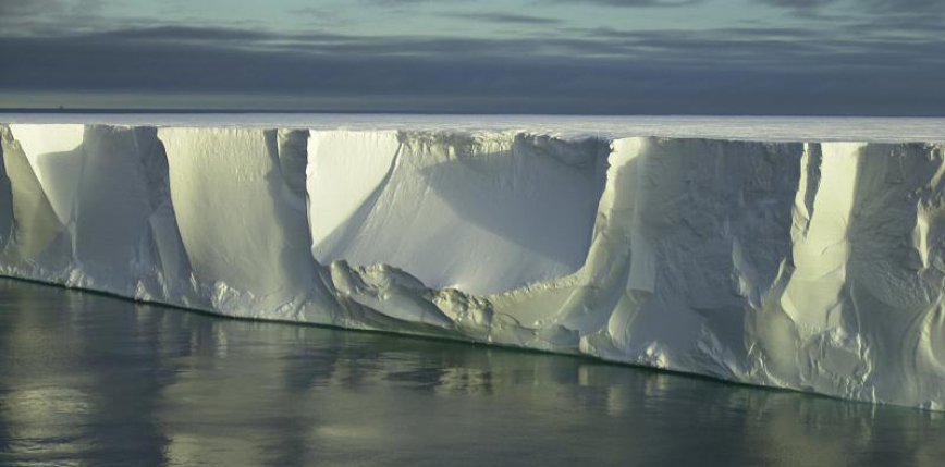 Odkryto nowe życie pod lodowcem szelfowym na Antarktydzie