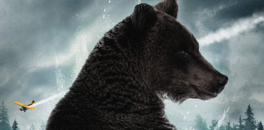 Przemyt narkotyków i niedźwiedzie brunatne na plakacie „Cocaine Bear”