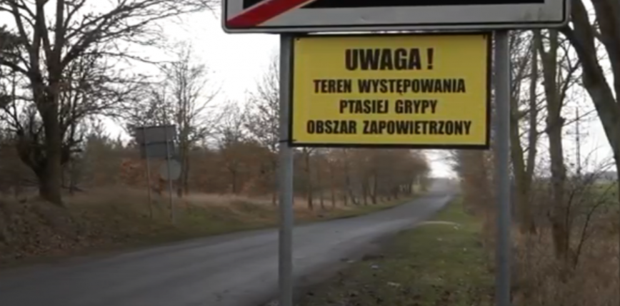 Mazowieckie: protest przeciwko grzebowisku ptaków