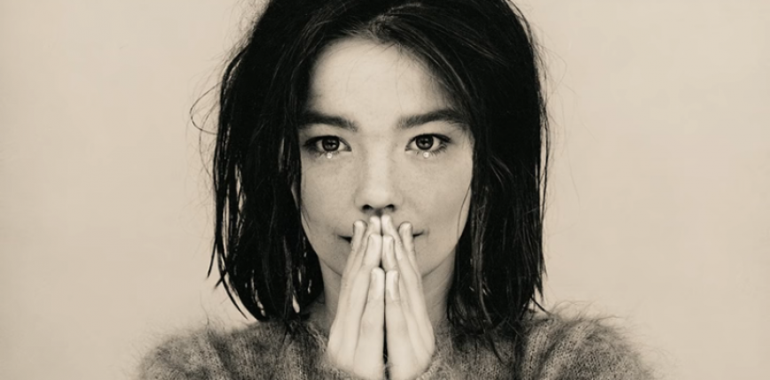  Radiowa składanka Björk 