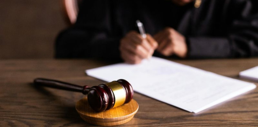 Zarzuty wobec byłych dyrektorów Lasów Państwowych. W tle nazwisko posła Mateckiego i pół miliona złotych