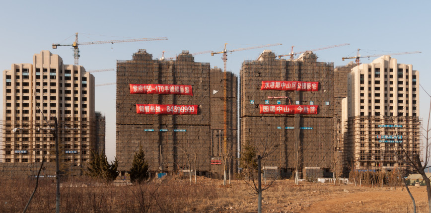 Polscy naukowcy inspirowani motylami. Powstają nowe materiały do chłodzenia i ogrzewania budynków