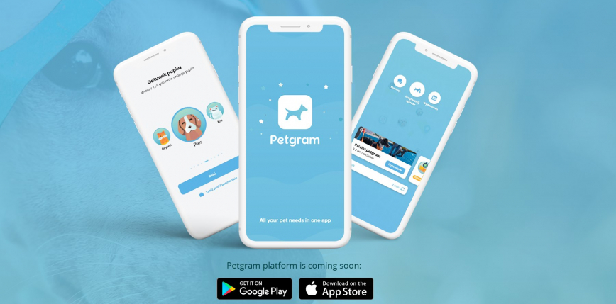 Petgram – pierwszy polski portal społecznościowy dla zwierząt